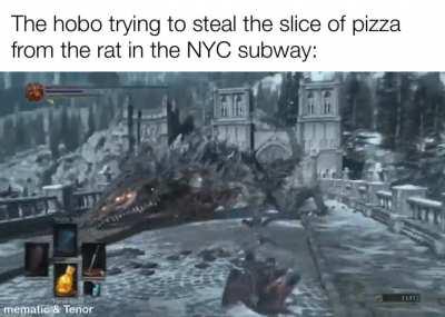 Average day in Ratyork