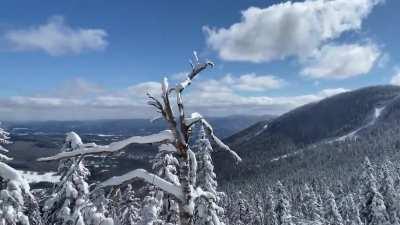 Stowe looks best during the winter