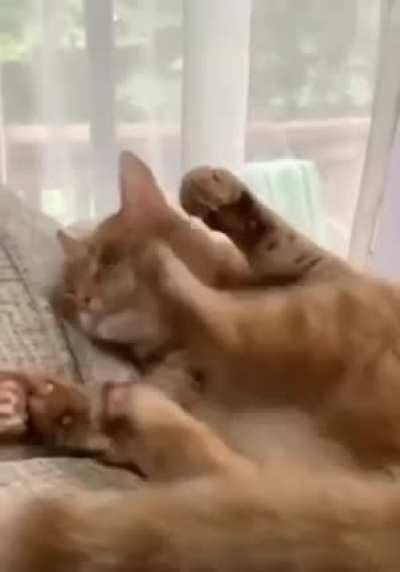 To clean his own paw!