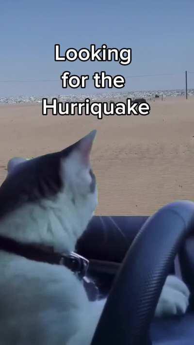 Hurricane Hillary Hurriquake