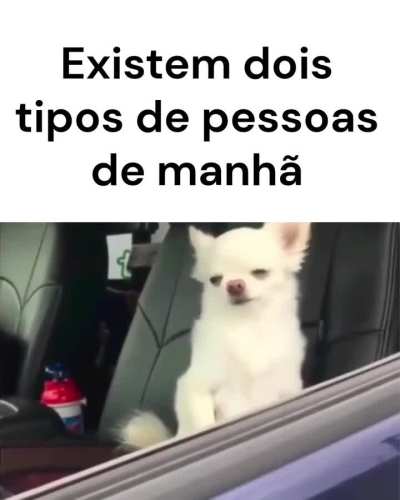 Qual deles é você?