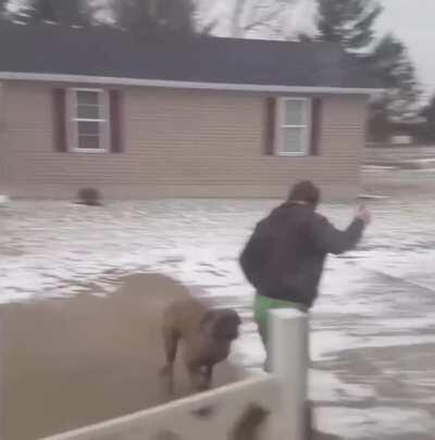 WCGW if I walk my dog on an icy driveway wearing rubber boots?