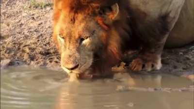 To drink water