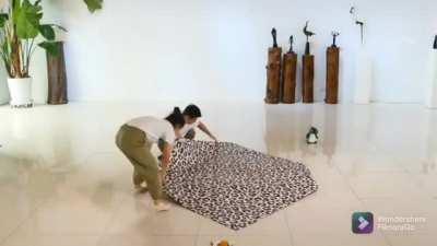 This couple folding a life size paper leopard