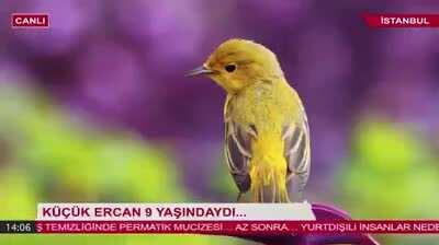 Atıldı mı bilmiyorum ama...