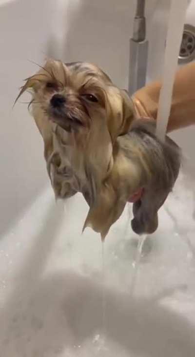 Wash me peasant