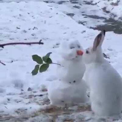 Just a bunny munching on a snowman’s carrot nose