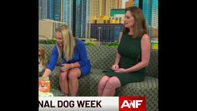 Courteney Jacobazzi & Meghan Packer | Atlanta News First