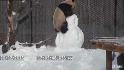 Panda vs snowman