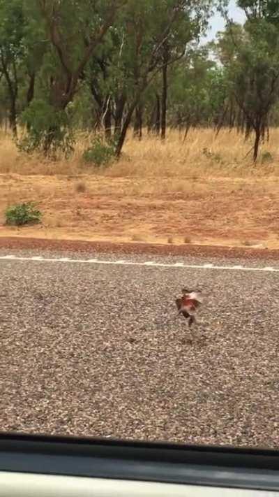 Only In Australia