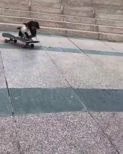 He was a skater boy...