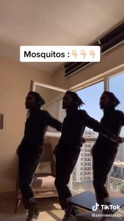 Mosquito season