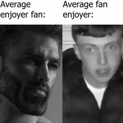 Average Fan Enjoyer Fan Enjoyer