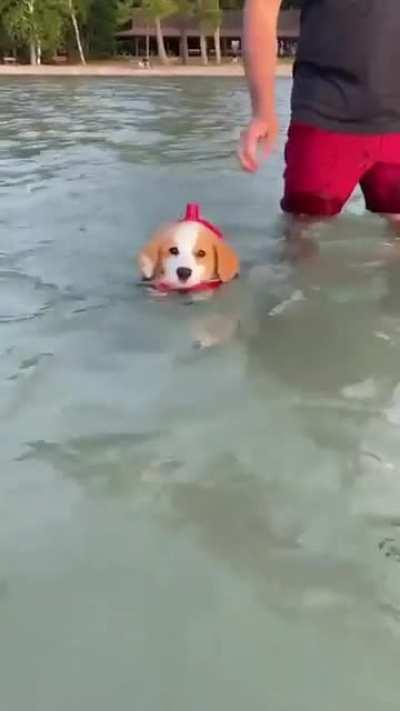 Swimming lessons