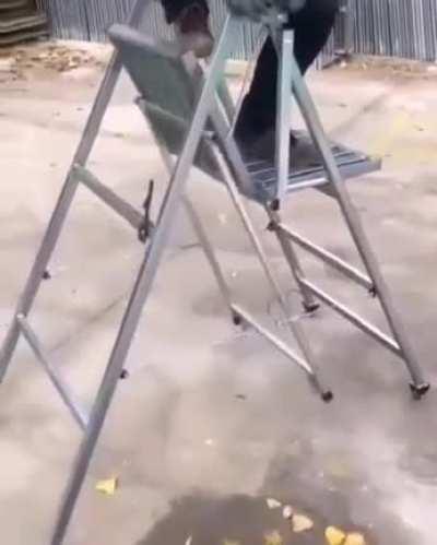 This Self-moving chair