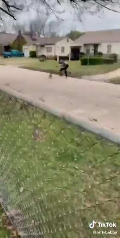 Everybody Gangsta till the dog Crosses the Fence.