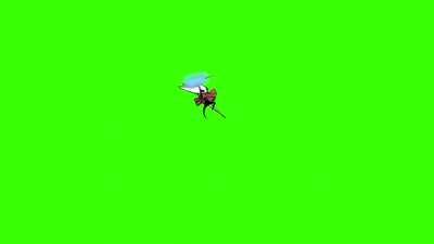 Hornet Lifeblood Stab Green Screen - This is a a green screen asset from my latest video. I don't know what anyone could use it for, but if anyone ends up doing so I'd love to see what you put it in! (no credit needed)