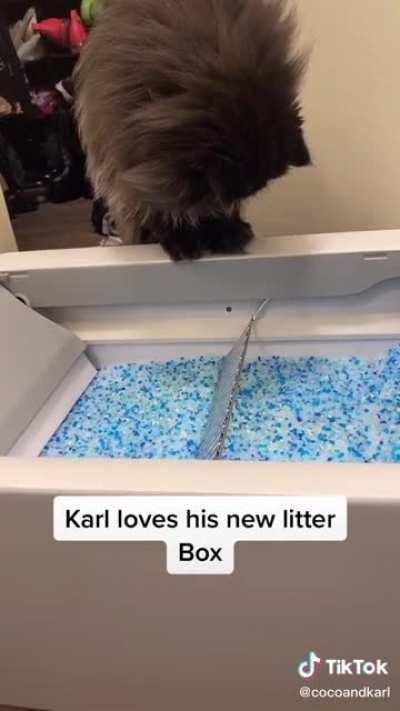 Karl’s lil furry face is sending me into orbit