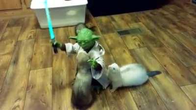 Yoda vs Tube Rats