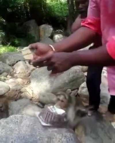 WCGW Cutting The Birthday Cake Outdoors