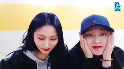 Siyeon says that they would really love on go on 'Queendom' (191111 V Live)