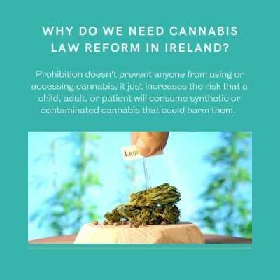 Make Your Voice Heard Today - #CannabisReformIreland