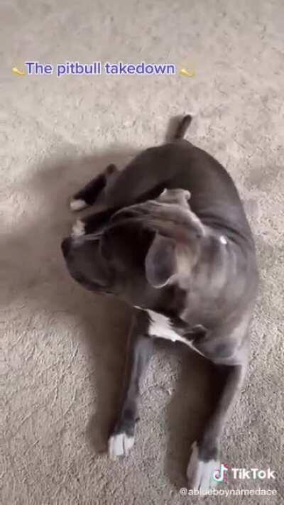 Technique for vicious animals