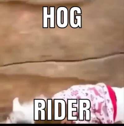 hog rider