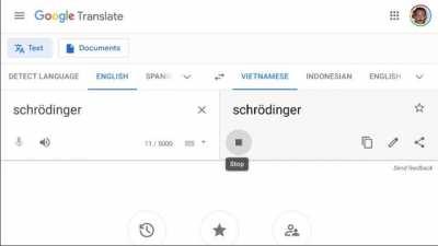 Schrodinger In Vietnamese Language