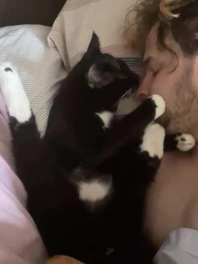 This is how my cat wakes me up each morning (sound on for ASMR)