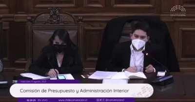Chilean Constitutional Convention: convencionalas, convencionilis y convencionolos.