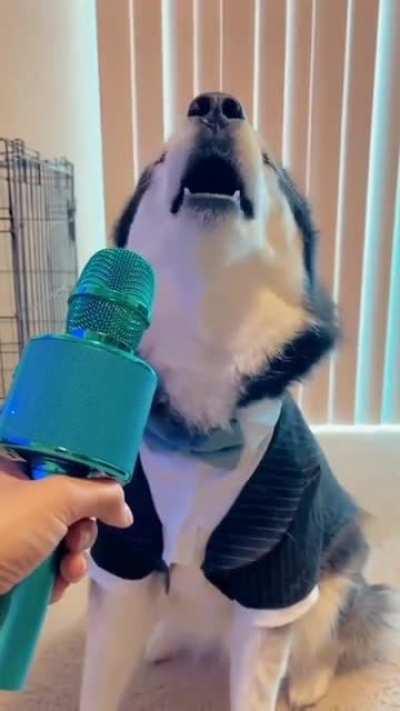 Husky on autotune