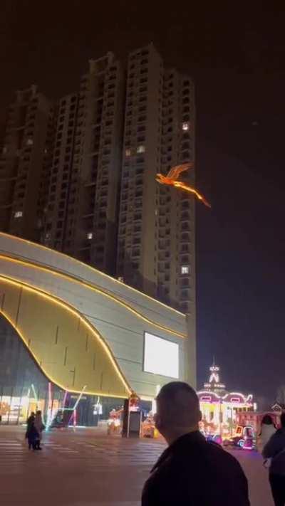 phoenix kite in China