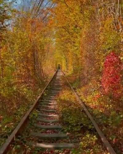 Old train tracks in autumn