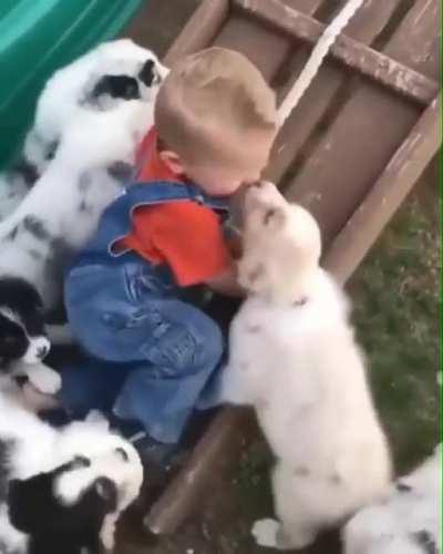 Baby slaughtered by vicious wild dogs