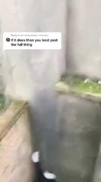 Tiktok Girl