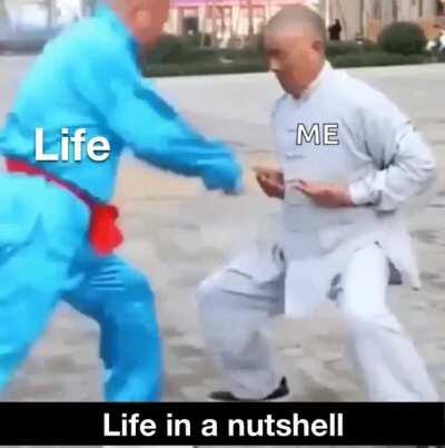 Life in a “nut” shell