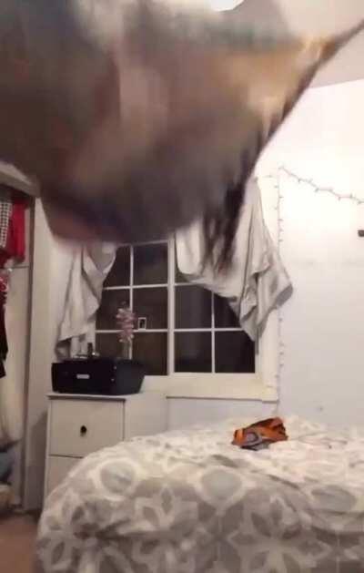 HMC while I swing