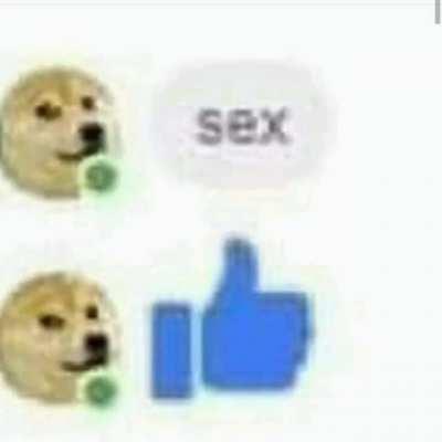 doge wants the secks 🤔🤔🤔🤔🤔🤔🤔🤔🤔