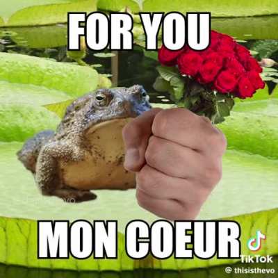 Good Morning! Having a tough loving yourself? This frog has something to say...