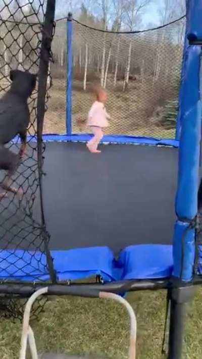 They enjoy trampoline time together..