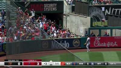 Donta' Williams makes an incredible diving catch for the Double-A