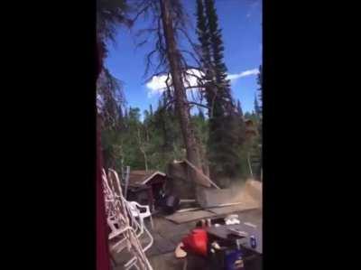 WCGW If I stand below the tree that I am cutting.