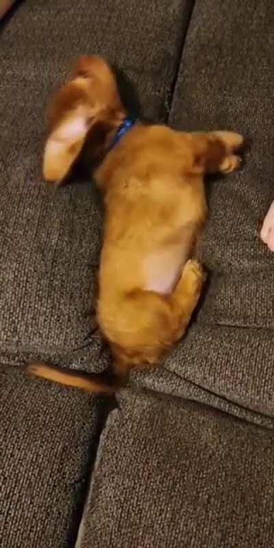 iNnOcEnT pUpPy FuCkInG dEvOuReD aLiVe By InViSiBlE dArK fOrCeS oF tHe UnDeRwOrLd