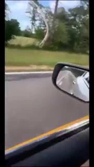 Woman having a snake accidentaly thrown into car