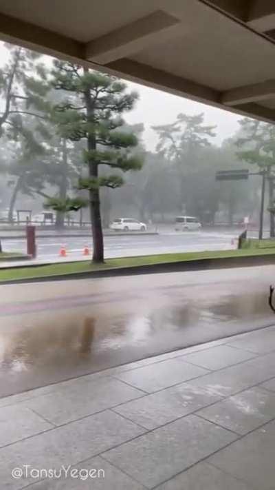 The situation in the Japanese city of Nara during a downpour