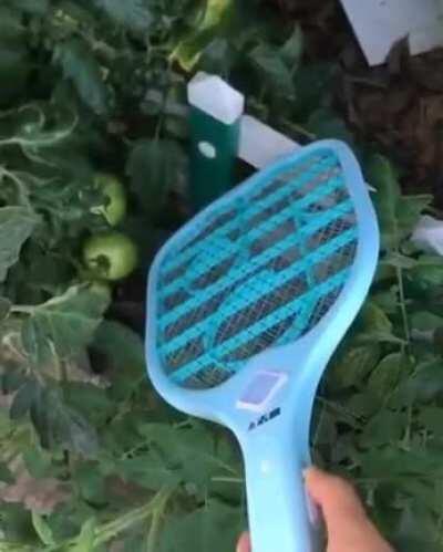 Killing mosquitos in euphonic style...