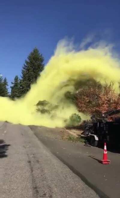 The Amount of Pollen on One Tree