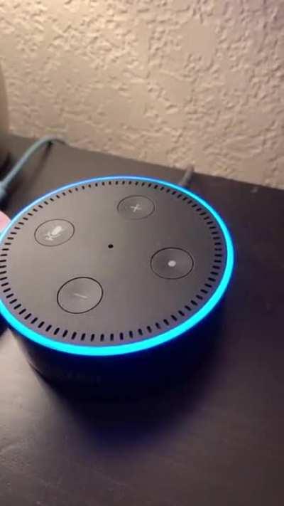 Can't get enough of Alexa