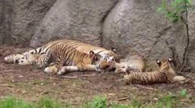 Giving mom a kiss before bedtime 🥺